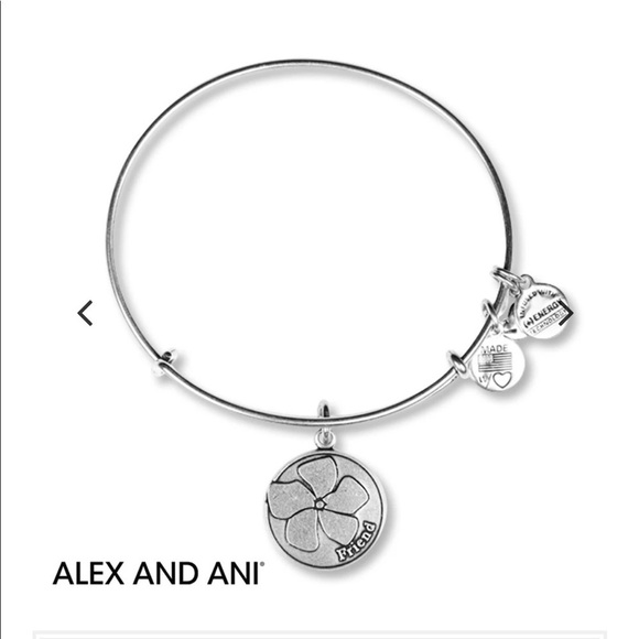 Alex and Ani Friend Bangle Silver - Picture 1 of 4